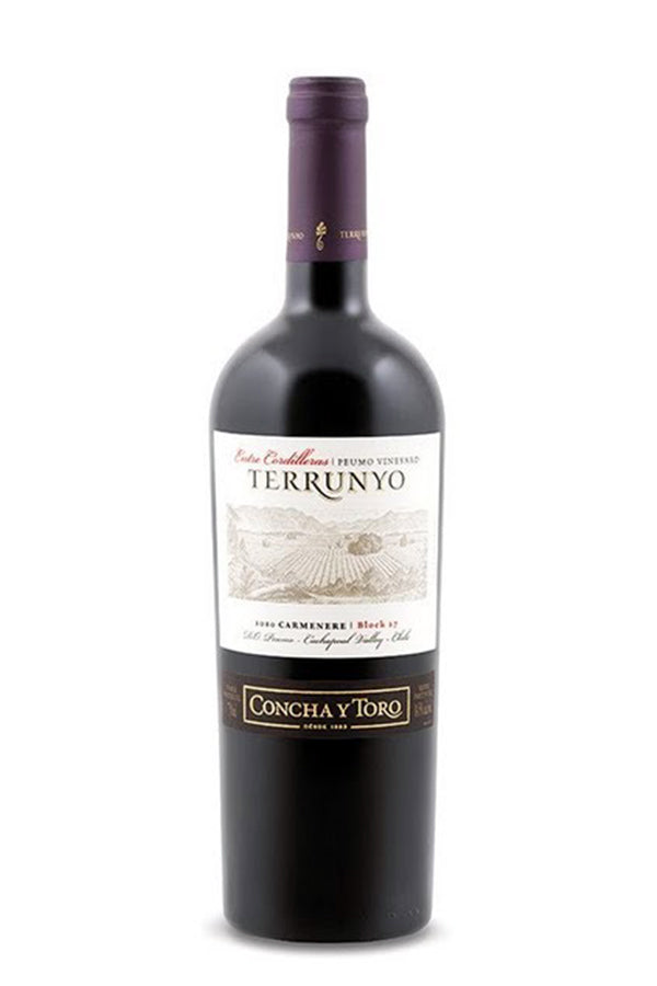 Concha y Toro Terrunyo Carmenere  2016