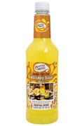 Master of Mixes Whiskey Sour Mix 1L