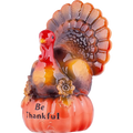 Turkey Tom American Bourbon 750ML