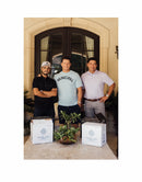 Flecha Azul Cristalino