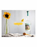 Still Austin American Gin "The Naturalist"