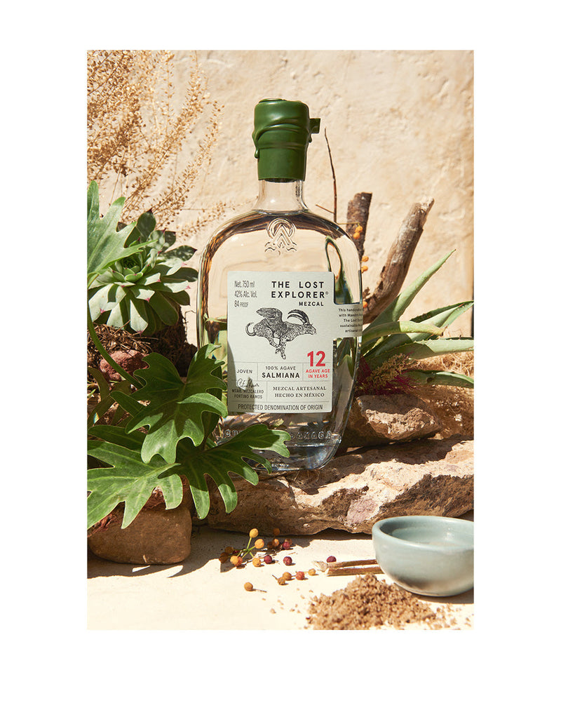 The Lost Explorer Mezcal Salmiana