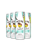 Malibu Piña Colada Cocktails (24 pack)