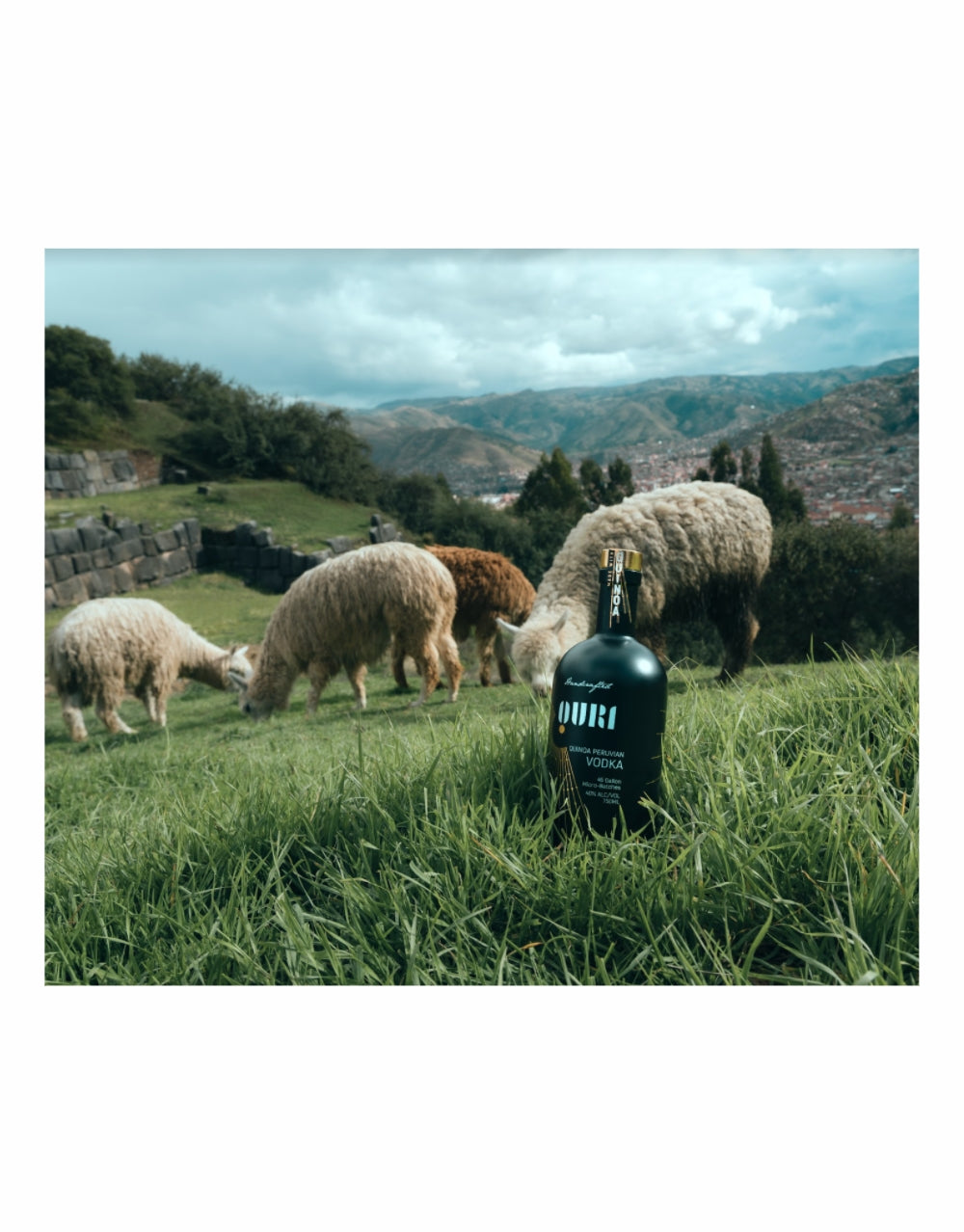 QURI Quinoa Peruvian Vodka
