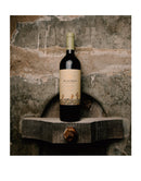 El Esteco Chañar Punco