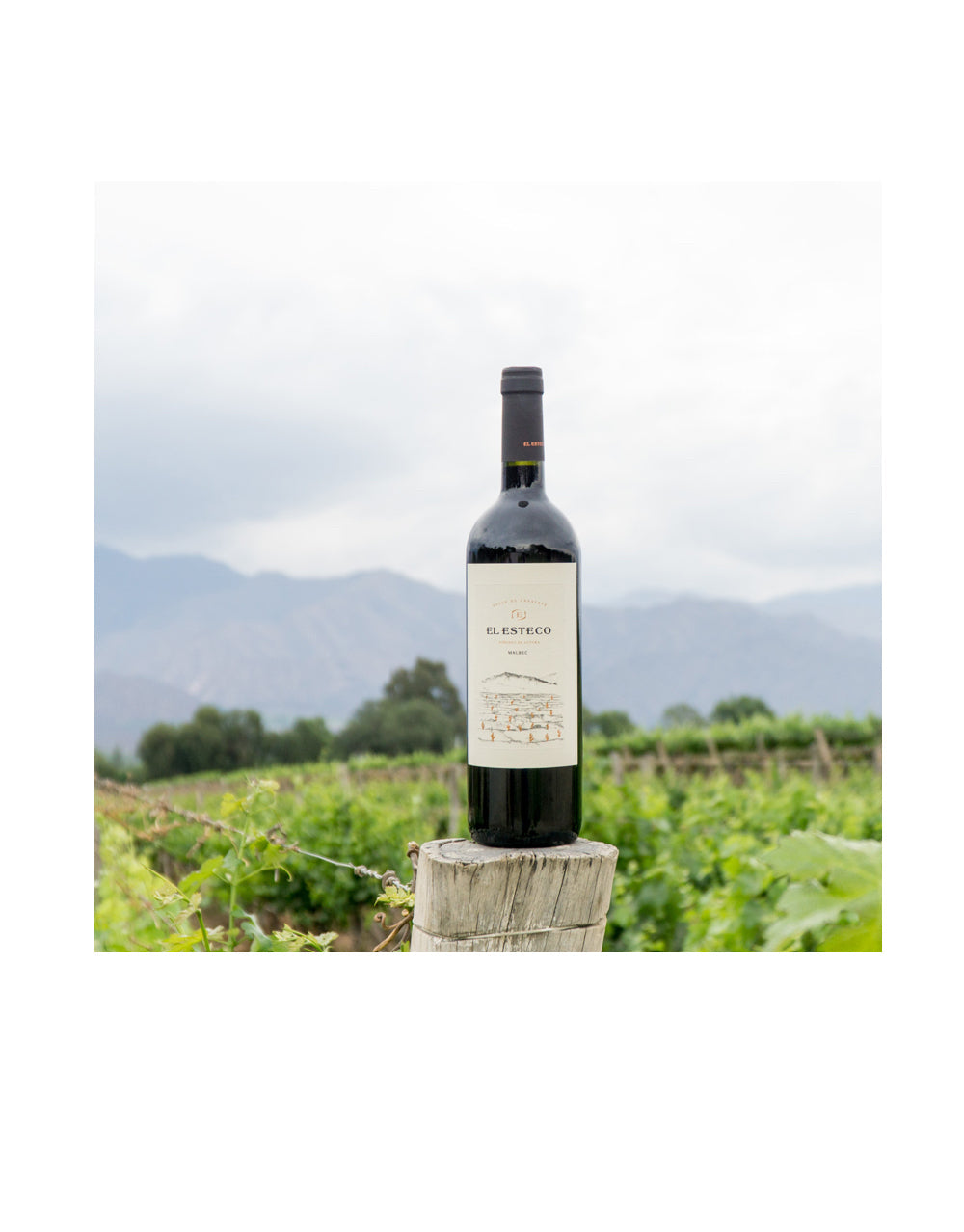 El Esteco Malbec & Cabernet Sauvignon