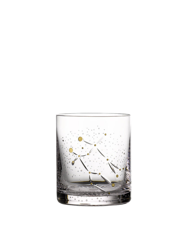 Waterford Stellar Zodiac Tumbler Gemini