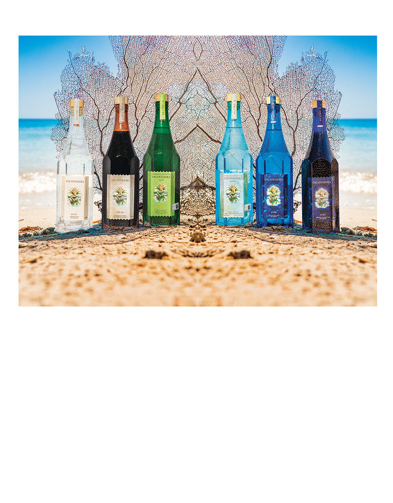 Encantadora Mixed Case (6 bottles)