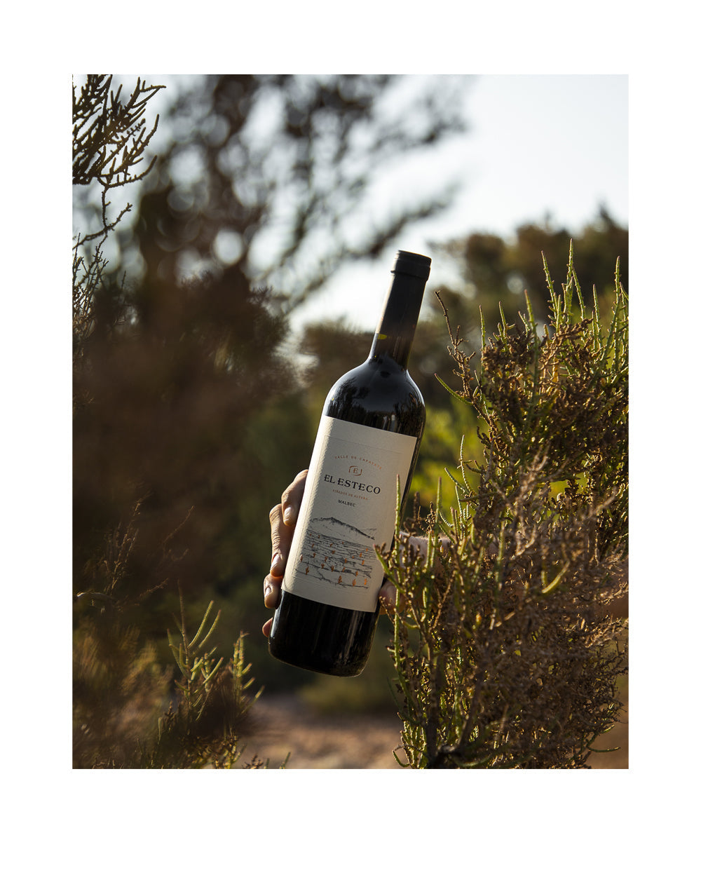 El Esteco Malbec & Cabernet Sauvignon