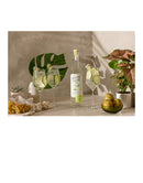 Plume & Petal Cucumber Splash