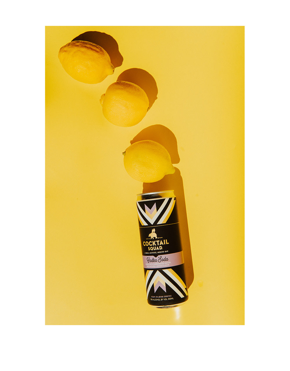 Cocktail Squad Vodka Soda (4 Pack)