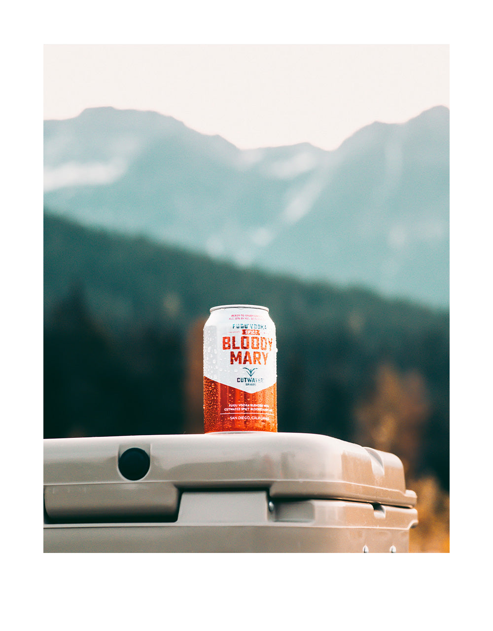 Cutwater Spicy Bloody Mary Can (24 pack)