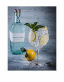 High Goal Luxury Gin