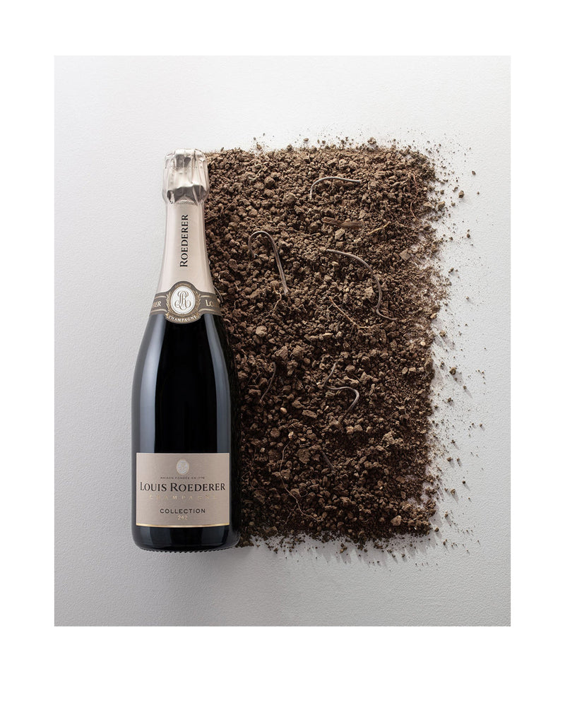 Champagne Louis Roederer Collection 242