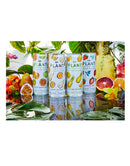 Plant Botanical Variety Pack Botanical Vodka Seltzer